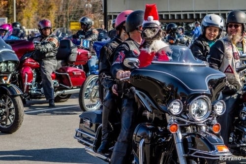 Toys For Tots Photo Gallery